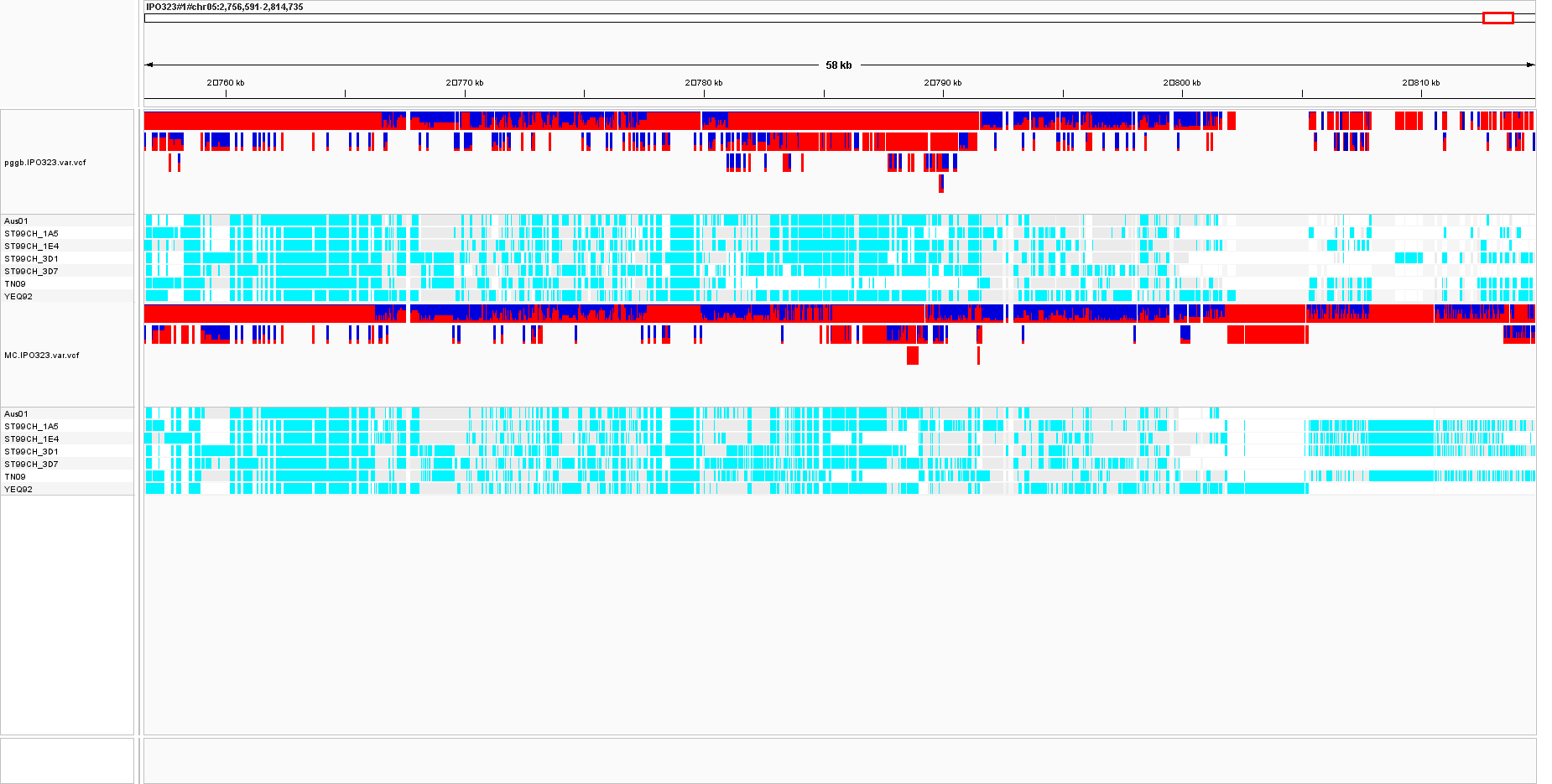 screenshot IGV vg deconstruct